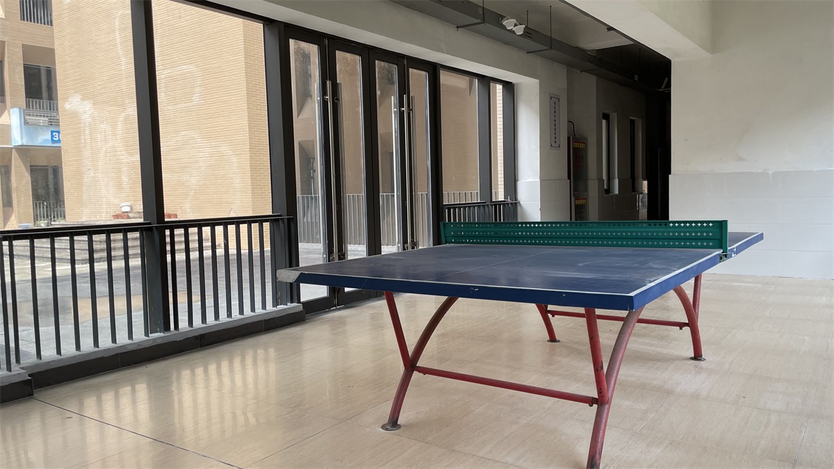 1664242654123582.jpg 乒乓球.jpg