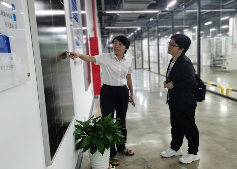 1665715169591.jpg 1665715169591.jpg